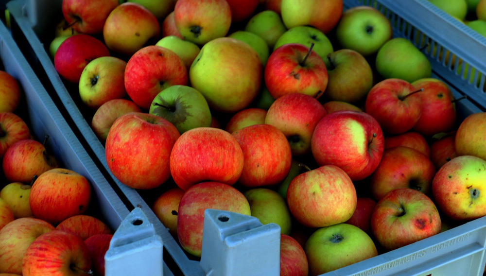 Apples in crates (Photo: moritz320 on Pixabay)