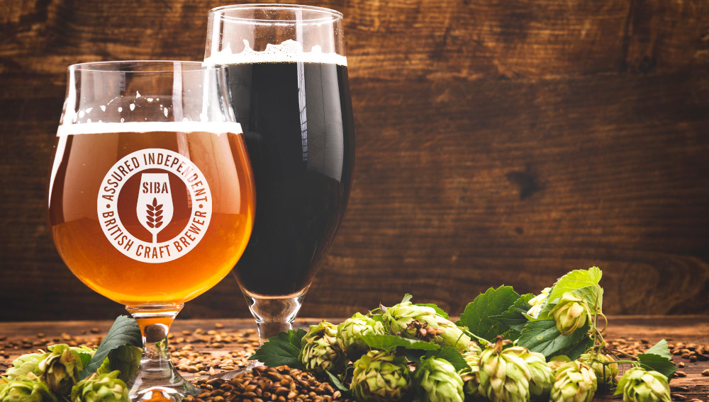 Two glasses with craft beer and hops