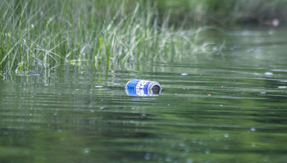 Blaue Budweiser-Dose schwimmt auf dem Wasser (Foto: Brian Yurasits auf Unsplash)
