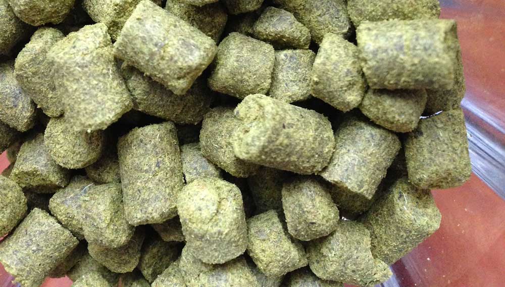 Hopfenpellets (Foto: Markus Spiske, Unsplash)