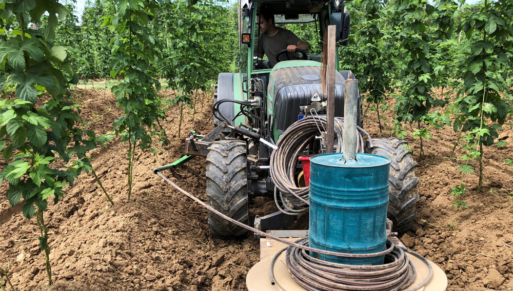 Verlegen der Tropfschläuche (Fotos: LfL) Traktor im Hopfengarten verlegt Tropfschläuche
