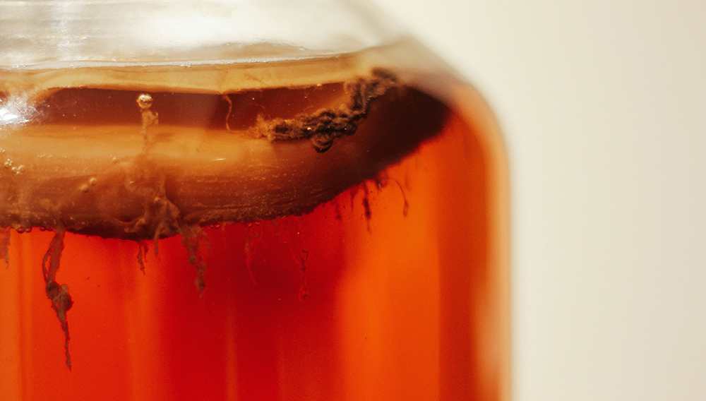 Reifer Kombucha SCOBY in einem Glas (Foto: Tim Oliver Metz auf Unsplash)