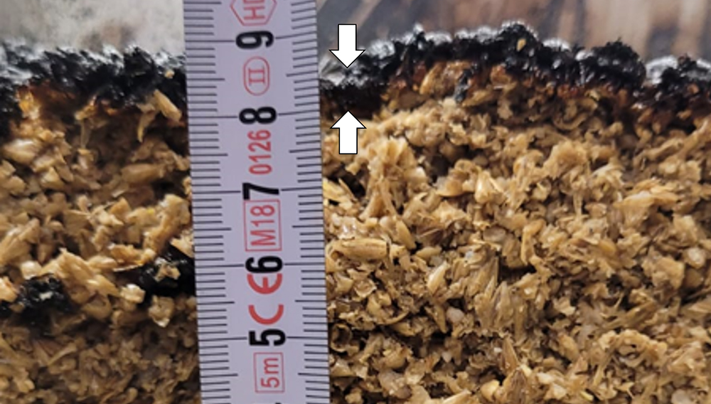 Abb. 1 Karamellisierte Schicht an den Oberflächen der Maischekuchen Querschnitt des gebackenen Maischekuchens