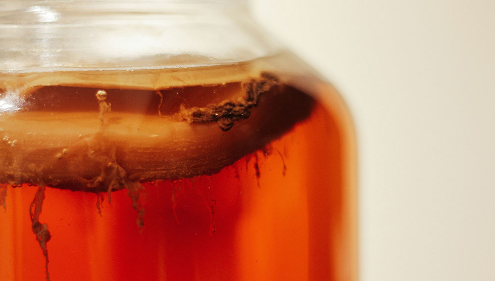Glasgefäß mit Kombucha und einem SCOBY (Foto: Tim Oliver Metz auf Unsplash)