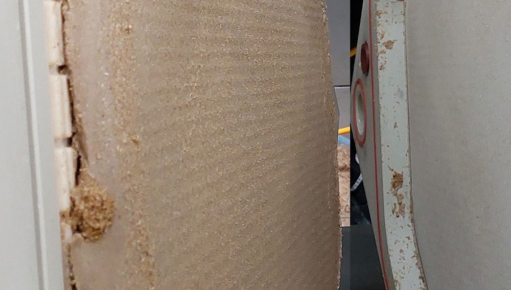 Filterkuchen in Membranfilteranlage (Foto: Andritz, TUM, Brewing Tec)