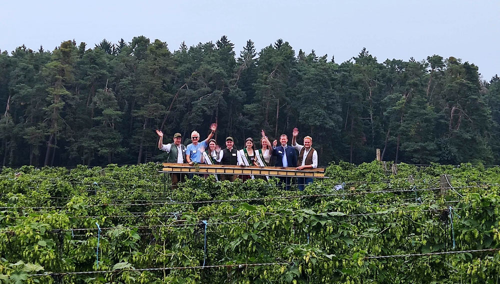 Ein Blick über den Hopfengarten Personen in einer Arbeitsbühne über dem Dach eines weitläufigen Hopfengartens