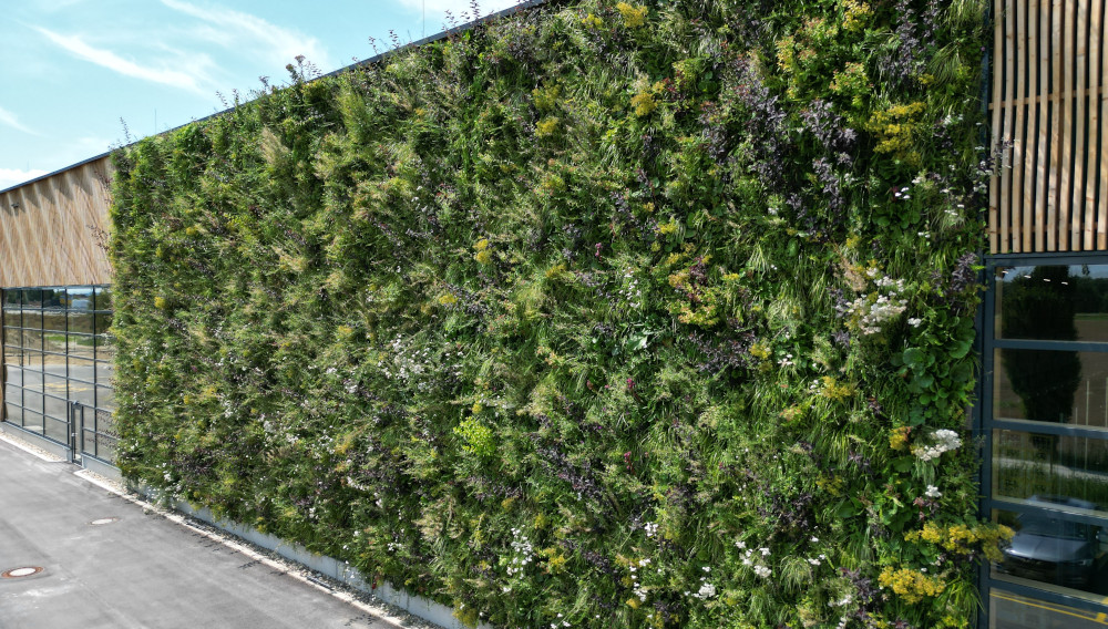 Die Grünfassade trägt zur Biodiversität und zum Klimaschutz bei Detailansicht der Grünfassade des Weissbier-Quartiers