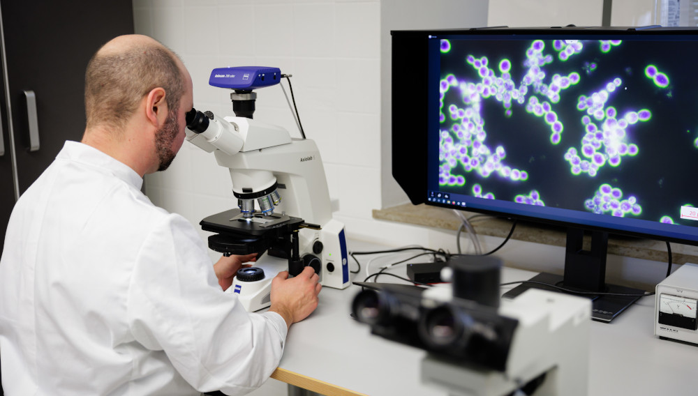 Wissenschaftlicher Mitarbeiter im Hefezentrum vor Mikroskop