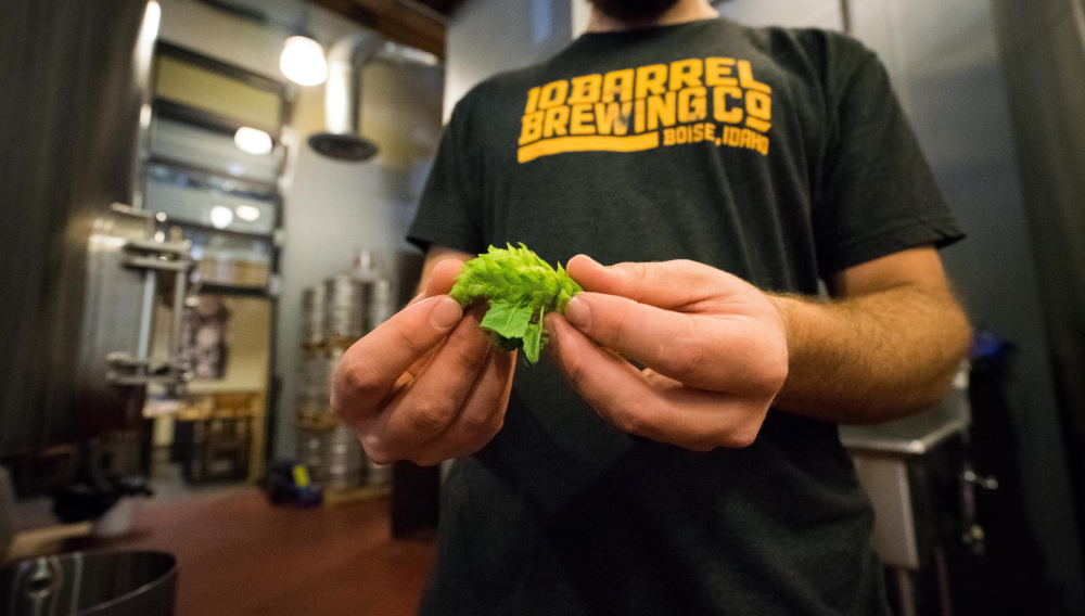 Beer monopoly podcast No. 1: The brewing industry in an age of disruptions
