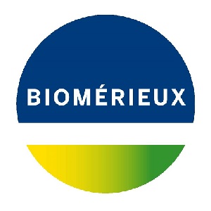 logo-beispiel